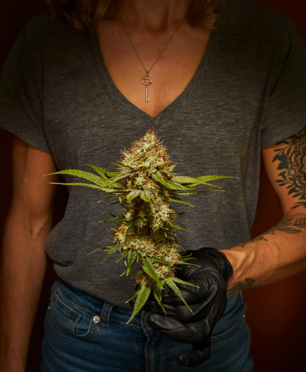 Maine Craft Cannabis